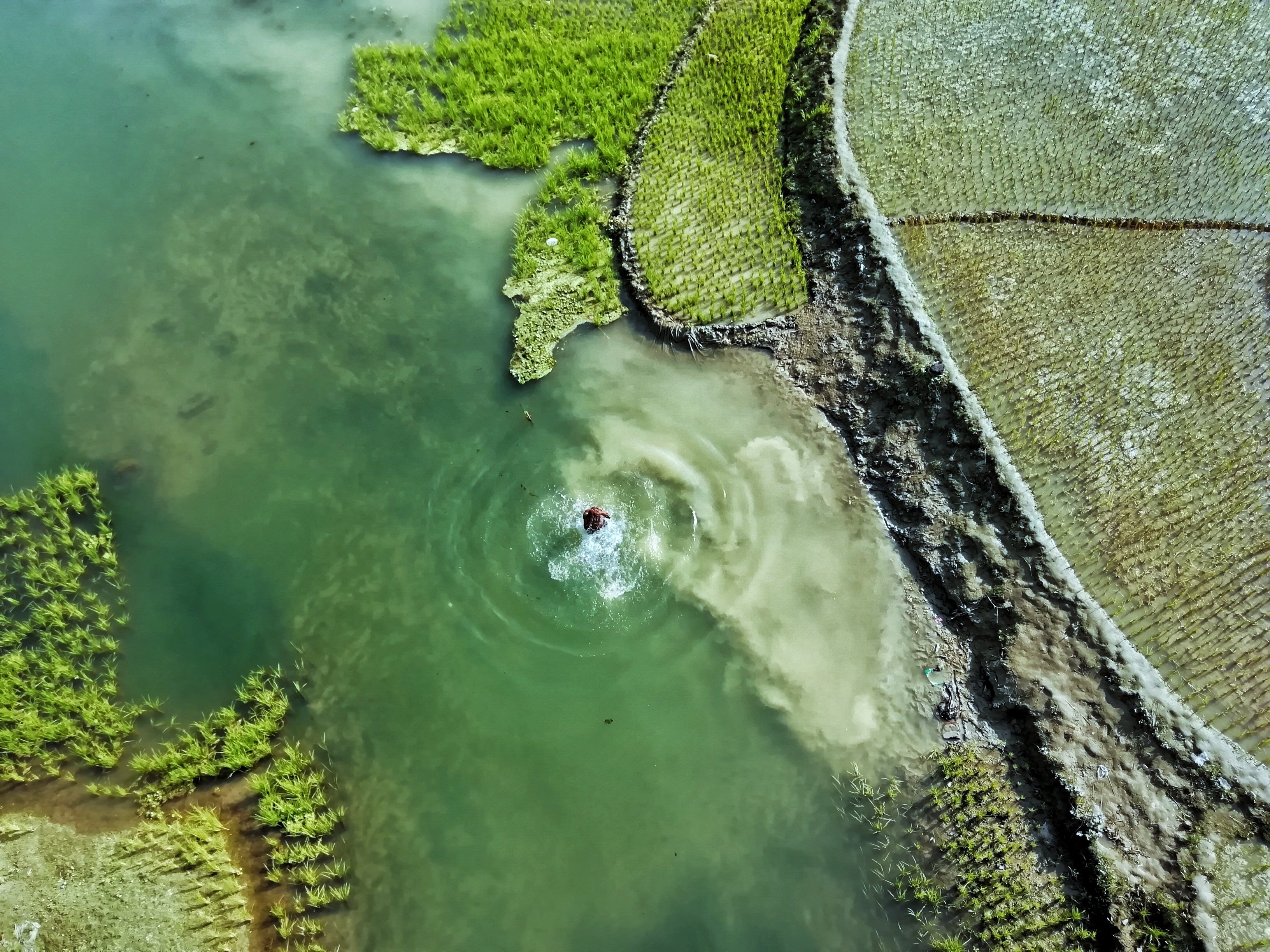 files/aerial-view-of-a-man-taking-a-dip.jpg
